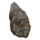 Fossil