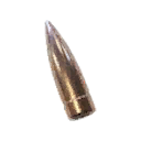 Large-Caliber Bullet