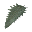 Pale-Leaf