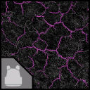 Mutated Shell Paint