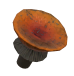 Rusty Fly Agaric