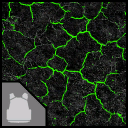 Toxic corrosion Paint